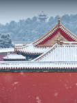 2故宫雪景故宫摄影拍照旅行(宫墙应闻簌簌，密雪浩若飞花)-喵神素材库