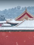 2故宫雪景故宫摄影拍照旅行(宫墙应闻簌簌，密雪浩若飞花)-喵神素材库