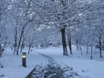 雪景生活日常冬天( 好美)-喵神素材库