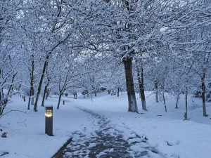 雪景生活日常冬天( 好美)-喵神素材库