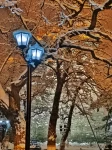 雪景下雪摄影拍照(夜深知雪重，愿世间没有颠沛流离，愿你三冬暖春不寒。)-喵神素材库