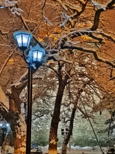 雪景下雪摄影拍照(夜深知雪重，愿世间没有颠沛流离，愿你三冬暖春不寒。)-喵神素材库
