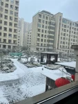 雪，白天，冬天，雪景( 又到了飘雪的季节)-喵神素材库