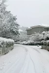 雪下雪天气冬天冬季(厚厚的一层雪)-喵神素材库