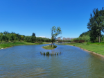 4北京绿心森林公园旅游拍照美景(北京城市绿心森林公园  )-喵神素材库