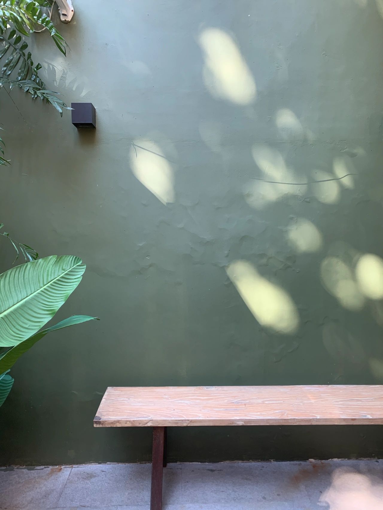 3秋景摄影风景拍照街拍上海常熟路\\/安福路(骑着自行车穿梭在梧桐树下，风吹来秋天的味道。)-喵神素材库