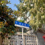 4上海万寿斋风景拍照美食(美食风景)-喵神素材库