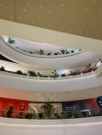 8购物上海路易斯散心(晚上去看了一下 还没开就又回来了)-喵神素材库