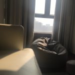 家居阳台萌宠猫(睡了个午觉一转头这阳光)-喵神素材库