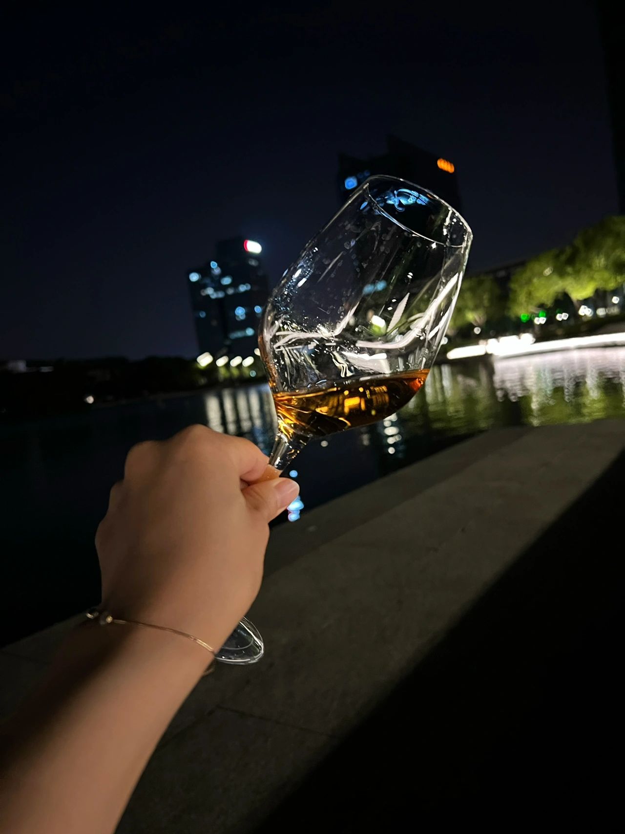 晚上灯光夜景喝酒葡萄酒品酒猫(镜花水月)-喵神素材库