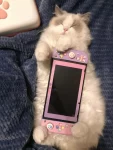 4布偶猫吸猫撸猫猫咪小可爱游戏机(小猫咪一出摊生意就是好)-喵神素材库