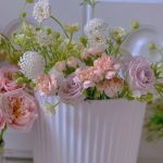 4玛丽猫小可爱萌宠网购鲜花插花 (我的猫咪)-喵神素材库