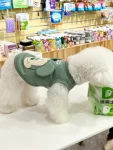 宠物萌宠狗(“姐姐我洗香香了你终于来接我啦！！”“还给我带了鸡腿吗)-喵神素材库