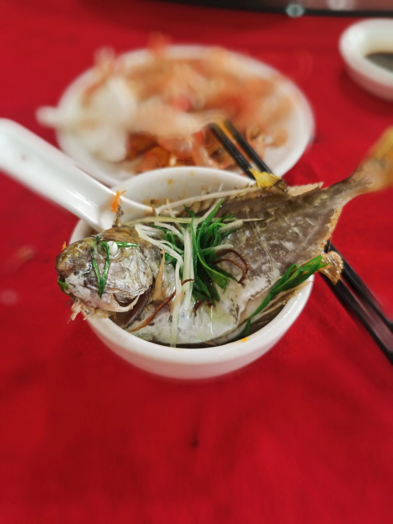 3泥猛鱼美食午餐广州鱼邨(安静的鱼邨)-喵神素材库