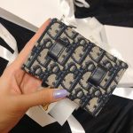 迪奥老花钱包容量新款(當我看到Dior新出的這款老花錢包就覺得完全是我的菜。因為我本人非常迷mini包包，這款錢包就配了鏈側背。還可以用腰帶當腰包。是非常好搭配的一款錢包。錢包容量大概可以放幾張卡和現金還有鑰匙。想入手老花款的可以考慮一下。 )-喵神素材库