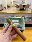 抽烟雪茄( 多劳多得，世间的美好你值得拥有)-喵神素材库