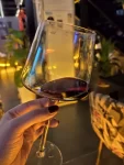 喝酒红酒葡萄酒(我的健康生活  )-喵神素材库