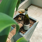 8红酒葡萄酒美酒品酒Lalou(Lalou就像所有酒友的奶奶 生怕在别的地方受了委屈 营养跟不上 一股脑的把)-喵神素材库