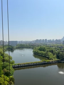 家居家装设计装修红酒聚会厨房起居室(豪宅大平层  )-喵神素材库
