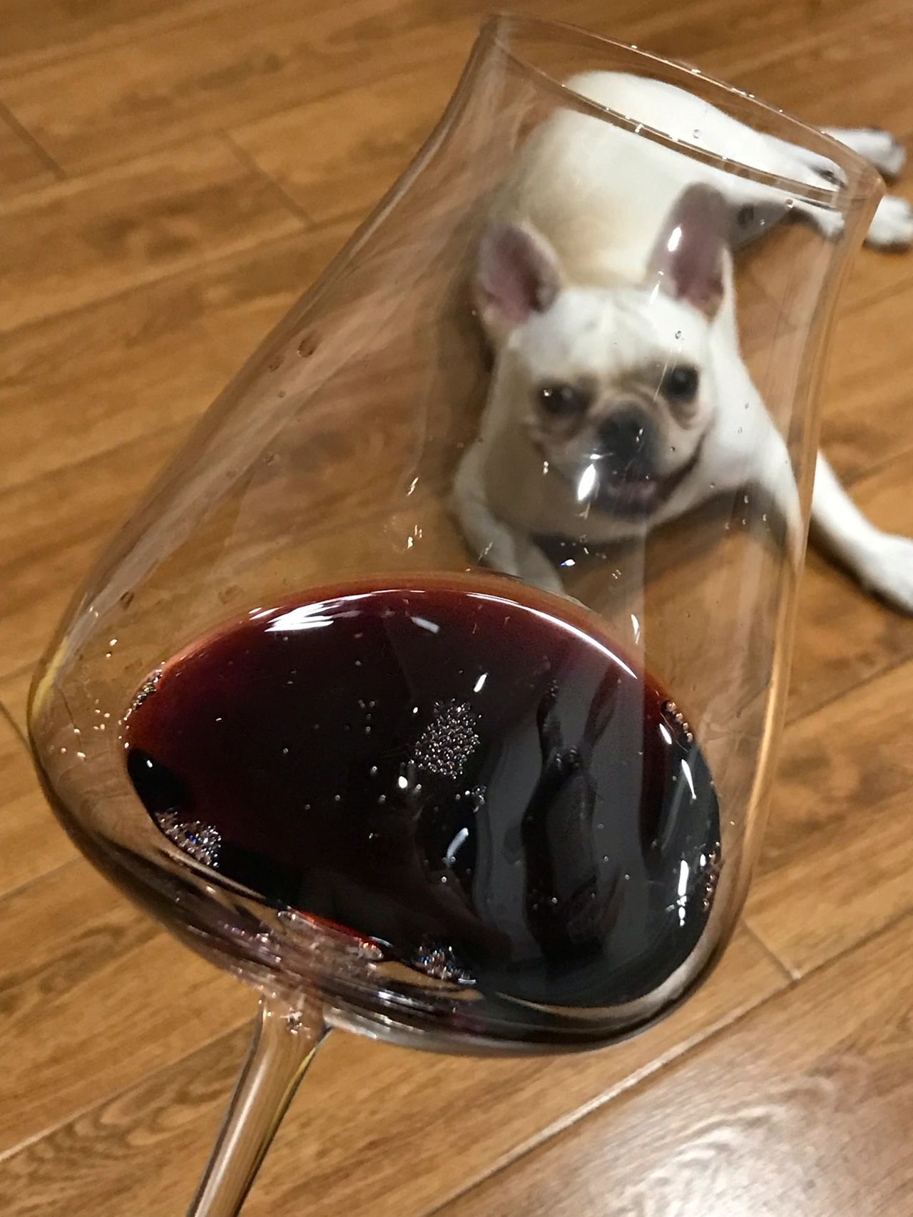 4chateau cap de faugeres20喝酒红酒品酒(今夜来一杯微醺酒)-喵神素材库