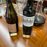 喝酒红酒葡萄酒品酒(葡萄酒)-喵神素材库