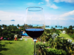 葡萄酒品酒红酒 天空(加强型葡萄酒建议使用葡萄酒杯倒少于1\\/4的量。)-喵神素材库