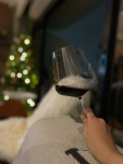 红酒酒杯分享日常( 舒缓情绪)-喵神素材库