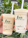 3奶茶饮品饮料(虽然冷门！但是真滴好喝！！！不愧是员工推荐)-喵神素材库