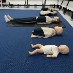 培训练习上课(一个半月好快就结束了！)-喵神素材库