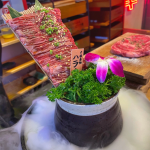 朋友聚会日料牛排( 面对嘲笑总要努力一下，就算破茧变不成蝴蝶，也要变成幺蛾子晃花那些人的眼。 ​​​)-喵神素材库