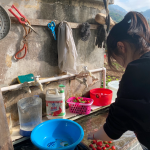2潭州爬山朋友旅行游玩摘草莓美食(和朋友一起租了车去漳州爬山)-喵神素材库