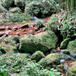 爬山风景摄影拍照(爬爬山)-喵神素材库