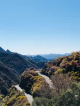 秋天景色蓝天爬山虎树林(深秋至，秋意浓，一山一水皆画意，一草一木皆诗情。沐一袭秋风，品读一叶知秋的美丽，在秋水长天里沉醉~\\t)-喵神素材库