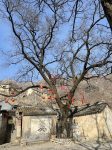 风景摄影拍照旅游喝茶(一起看风景)-喵神素材库