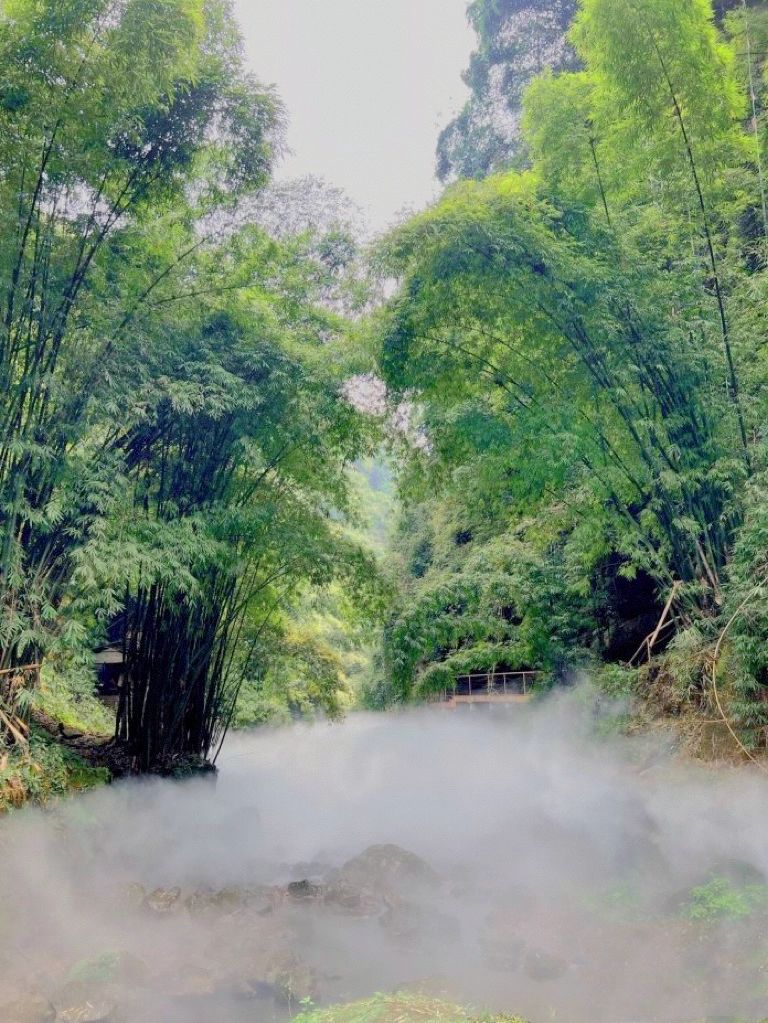 3旅游风景景点邛崃市平乐镇川西竹海(享有“丝路首镇•户外天堂”的美誉)-喵神素材库