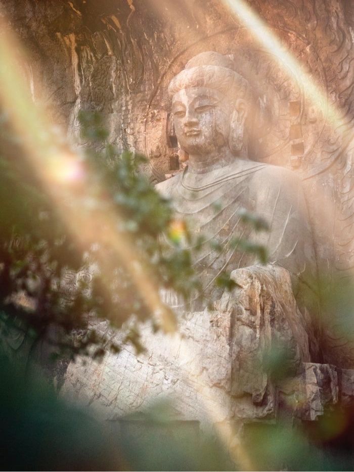 3旅游参观景点龙门石窟(中国四大石窟之一，应该也是游客到访率最高的石窟)-喵神素材库