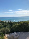 3旅游参观寺庙太清宫游客景点古树(道教的发源地之一，距今已有2140年的历史)-喵神素材库