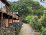 旅游风景摄影拍照( 满眼的绿色)-喵神素材库