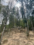 3爬山徒步旅游摄影拍照风景广州六片山(碧绿色的湖水自带滤镜)-喵神素材库
