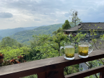 风景旅游下午茶摄影拍照(周末去哪儿 )-喵神素材库