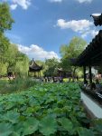 3旅游园林景观风景苏州拙政园(盛夏太美了荷花谢了春红荷叶倒影池塘听鸟鸣山林看绿水涟涟)-喵神素材库