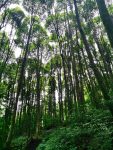 旅游景色爬山山泉(炎炎夏日，最宁静的山，最惬意的修仙，还有醉美的那汪清泉……… )-喵神素材库