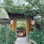 3旅游风景景点苏州平江路大儒巷(何妨点一杯咖啡坐上一下午看人来人往享受夏日午后难得的美好 )-喵神素材库