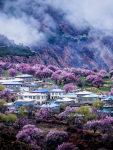 度假旅游风景春游桃花(有想去西藏看桃花的小伙伴吗？)-喵神素材库