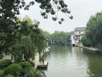 3旅游度假景点游湖风景大明湖荷花(时光不会辜负每一个努力的人)-喵神素材库
