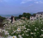 旅游鲜花秀恩爱风景(我一手捂着心，一手捂着嘴，可我的欢喜，还是从眼中溢出来)-喵神素材库