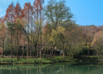 4杭州西湖浴鹄湾风景旅游拍照(杭州·西湖景区·浴鹄湾，一年四季都美的地方 。)-喵神素材库