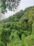 风景娱乐项目旅游( 缠在你心里很久很久困扰你！)-喵神素材库