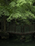 4苏州园林旅游拍照(苏州园林，各朝历代营造不绝，而始建于民国二十一年（1932）的朴园，是苏州文物保护名单上唯一的一座民国园林。曲桥上的铁艺栏杆，透露出当时中西合璧的时代气息。\\t)-喵神素材库