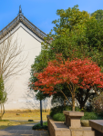 4杭州弥陀寺风景旅游拍照(弥陀寺，创建于清光绪四年（1878年），清末、民国初年杭州城四大寺院之一。)-喵神素材库